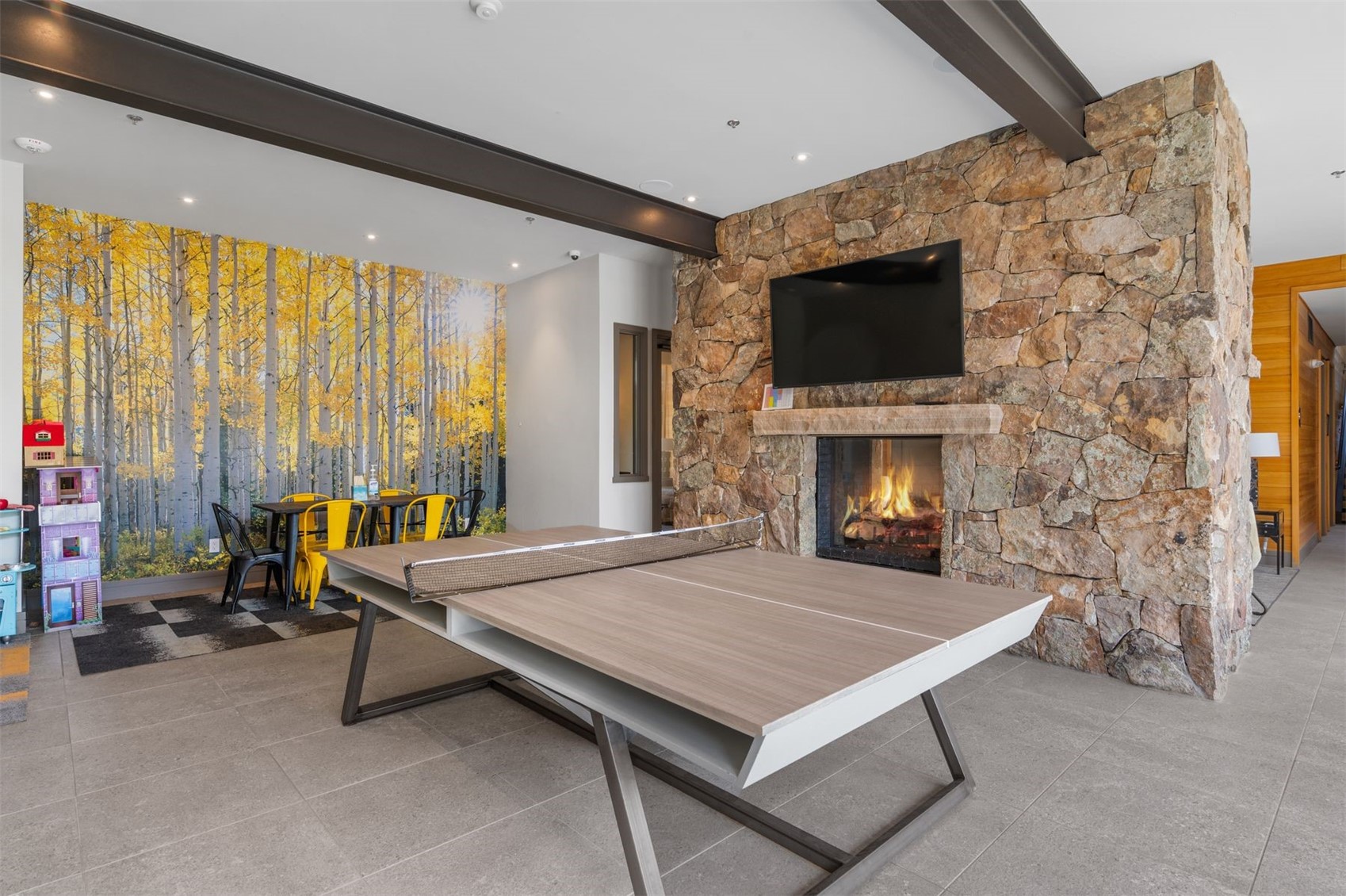 20 E Benjamin Point Silverthorne CO 80498