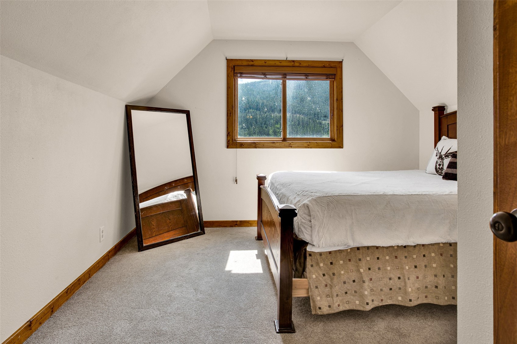 2399 Co Road 6 Alma CO 80420