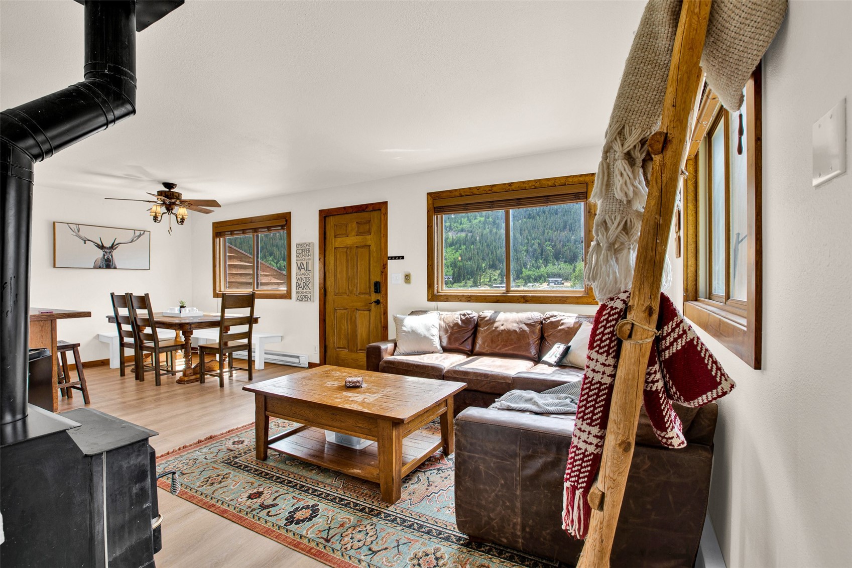 2399 Co Road 6 Alma CO 80420