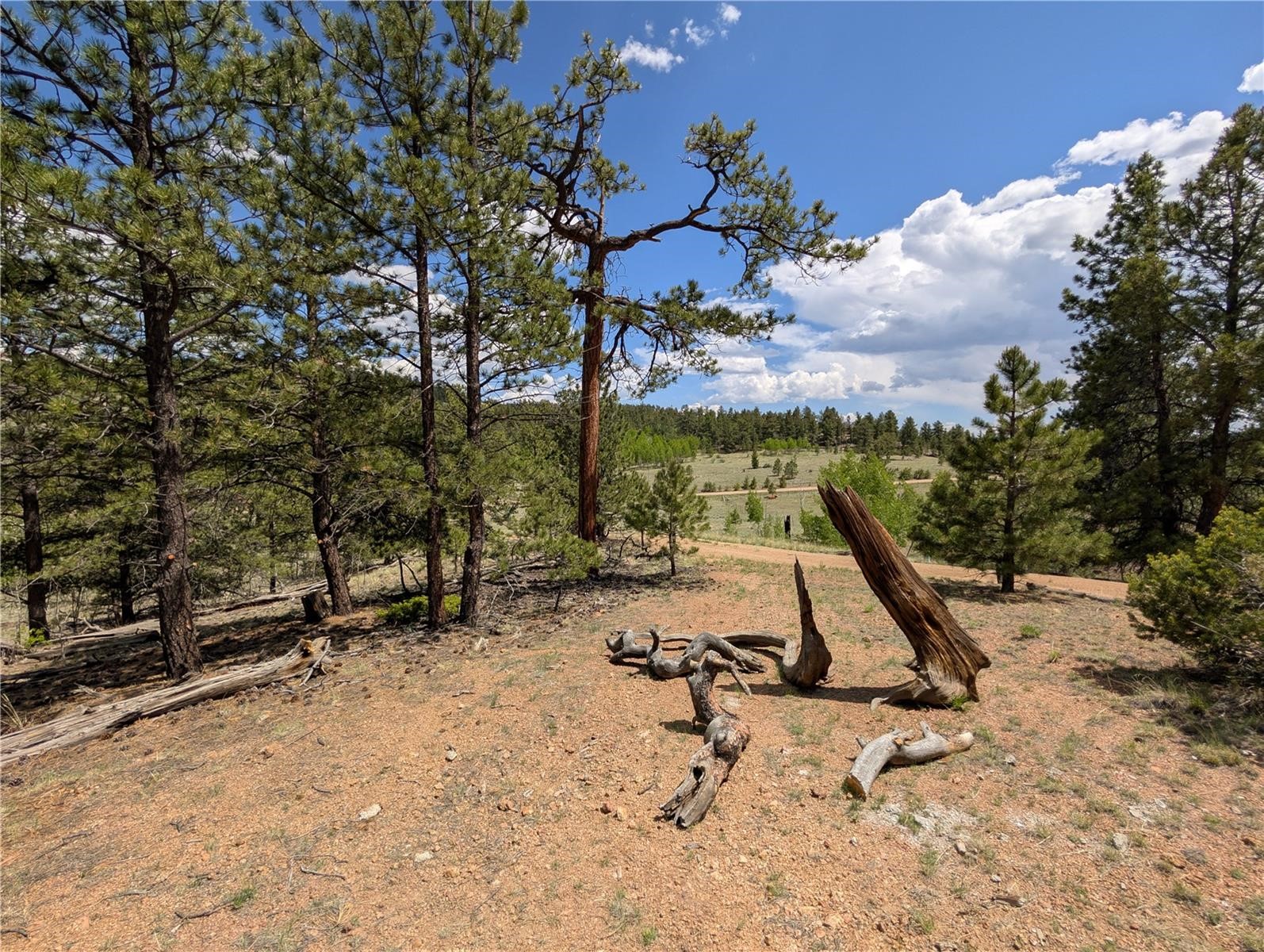 2117 Badger Creek Road Hartsel CO 80449