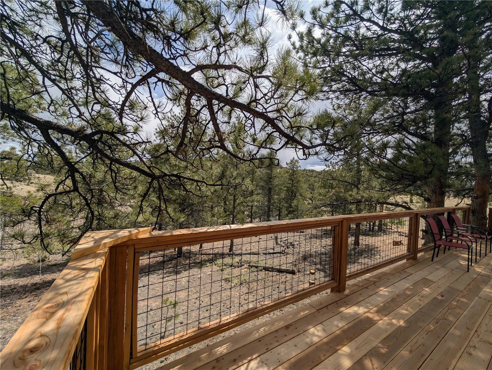 2117 Badger Creek Road Hartsel CO 80449