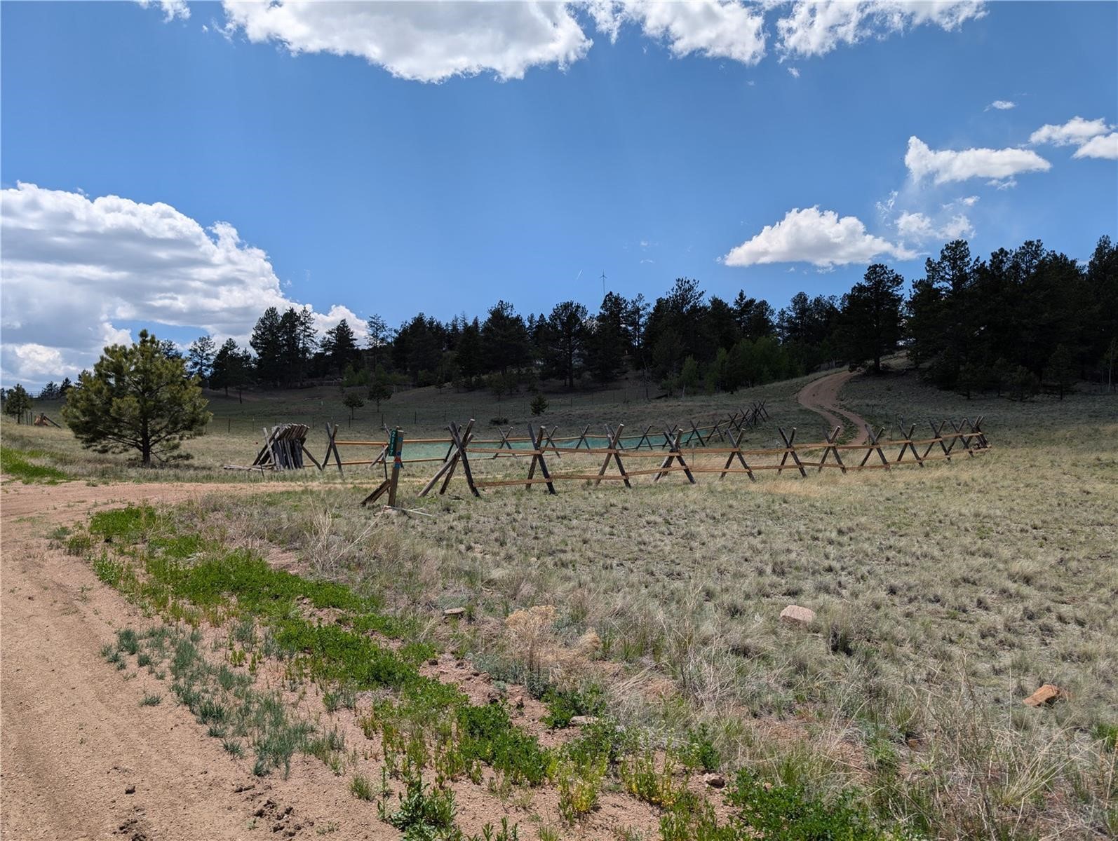2117 Badger Creek Road Hartsel CO 80449