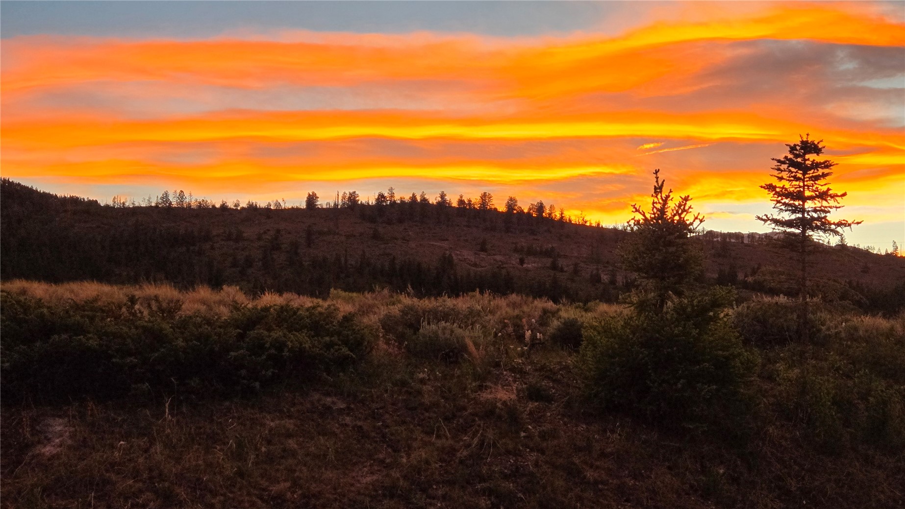 230 Telluride Court Dillon CO 80435