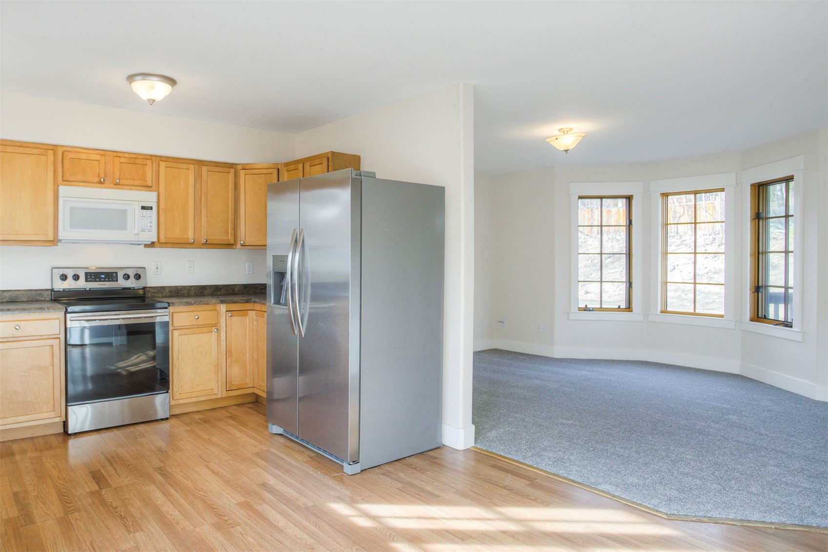 372 N Oak Street Alma CO 80420