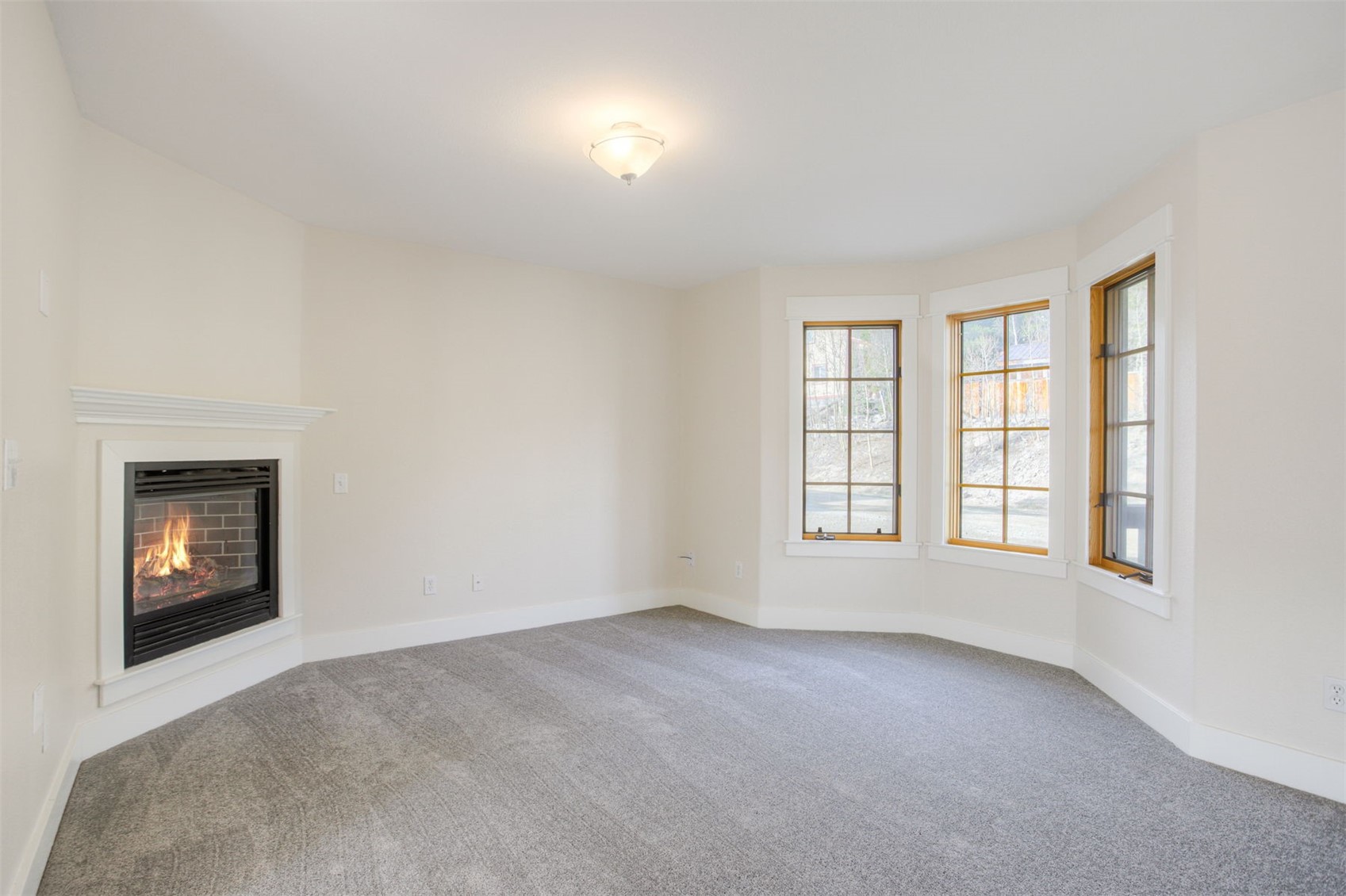 372 N Oak Street Alma CO 80420