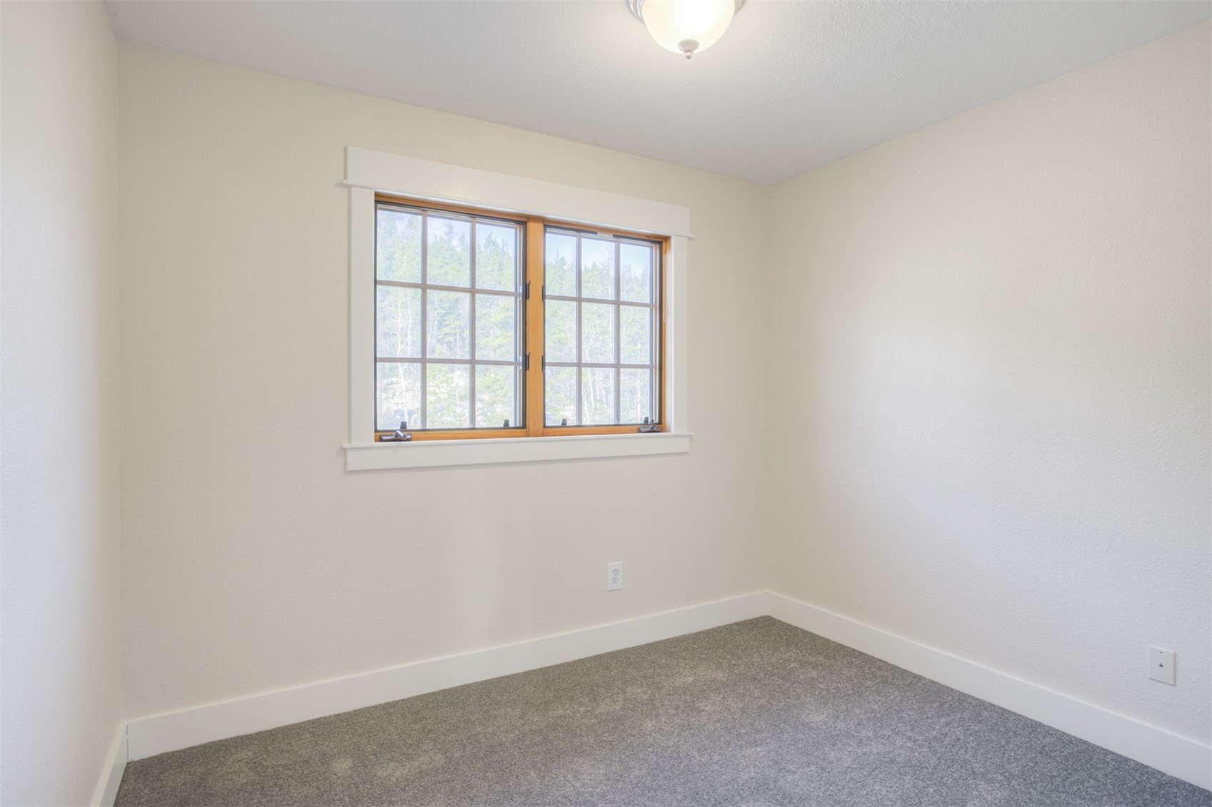 372 N Oak Street Alma CO 80420