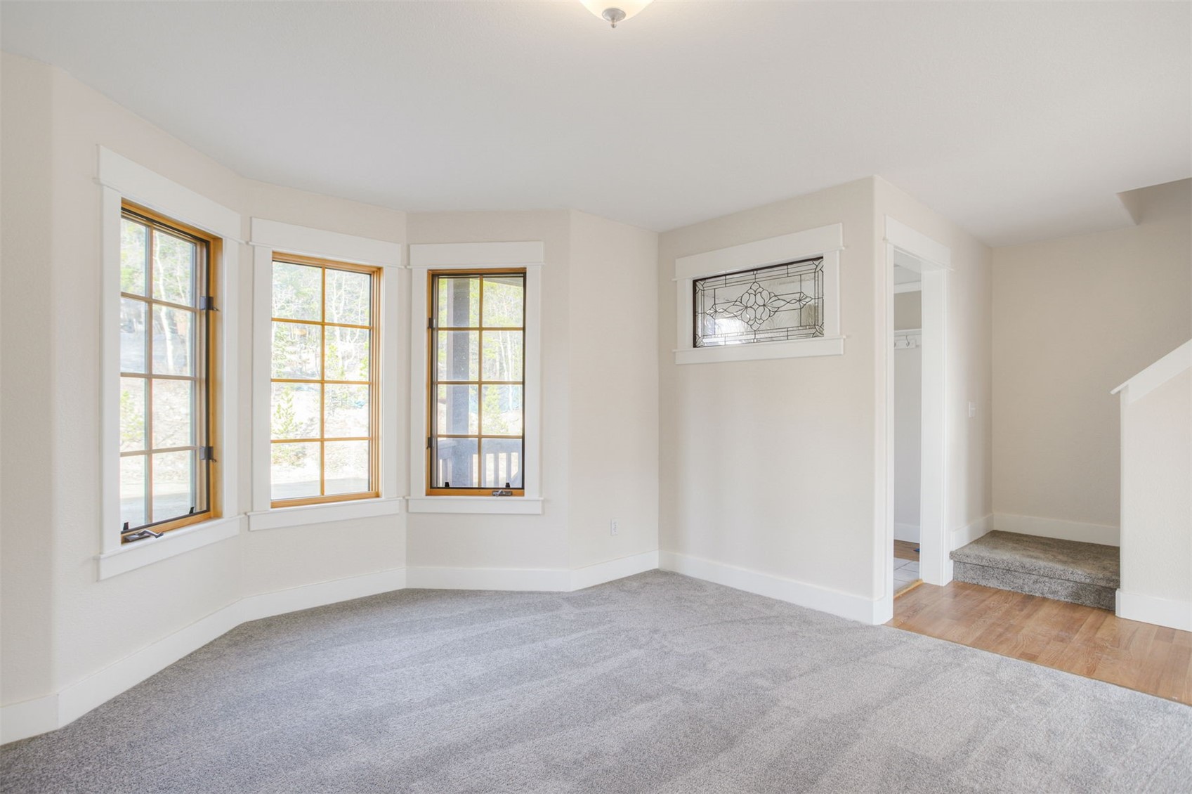 372 N Oak Street Alma CO 80420