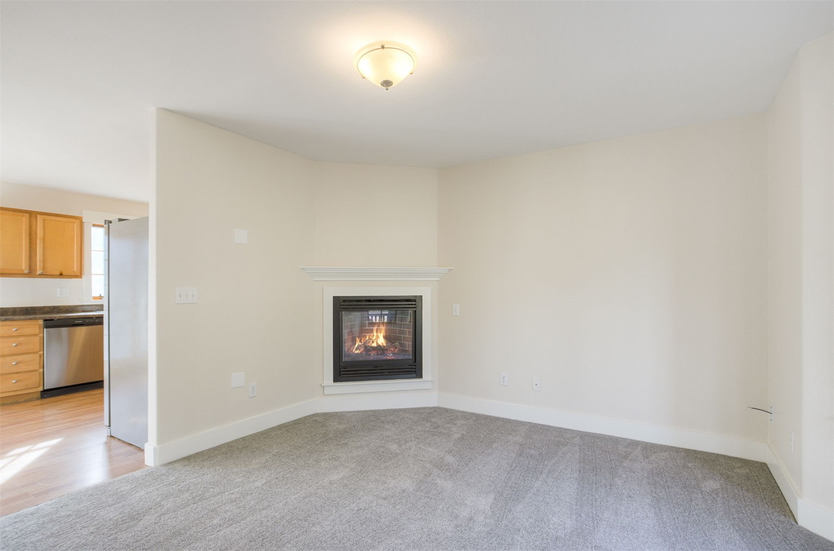 372 N Oak Street Alma CO 80420