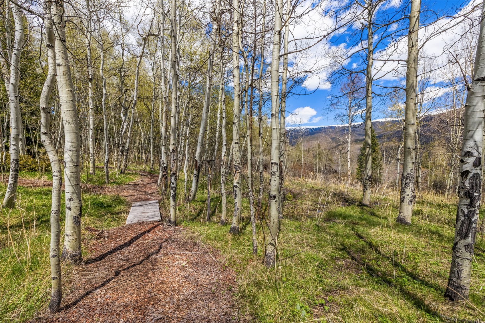 165 Easy Bend Trail Silverthorne CO 80498