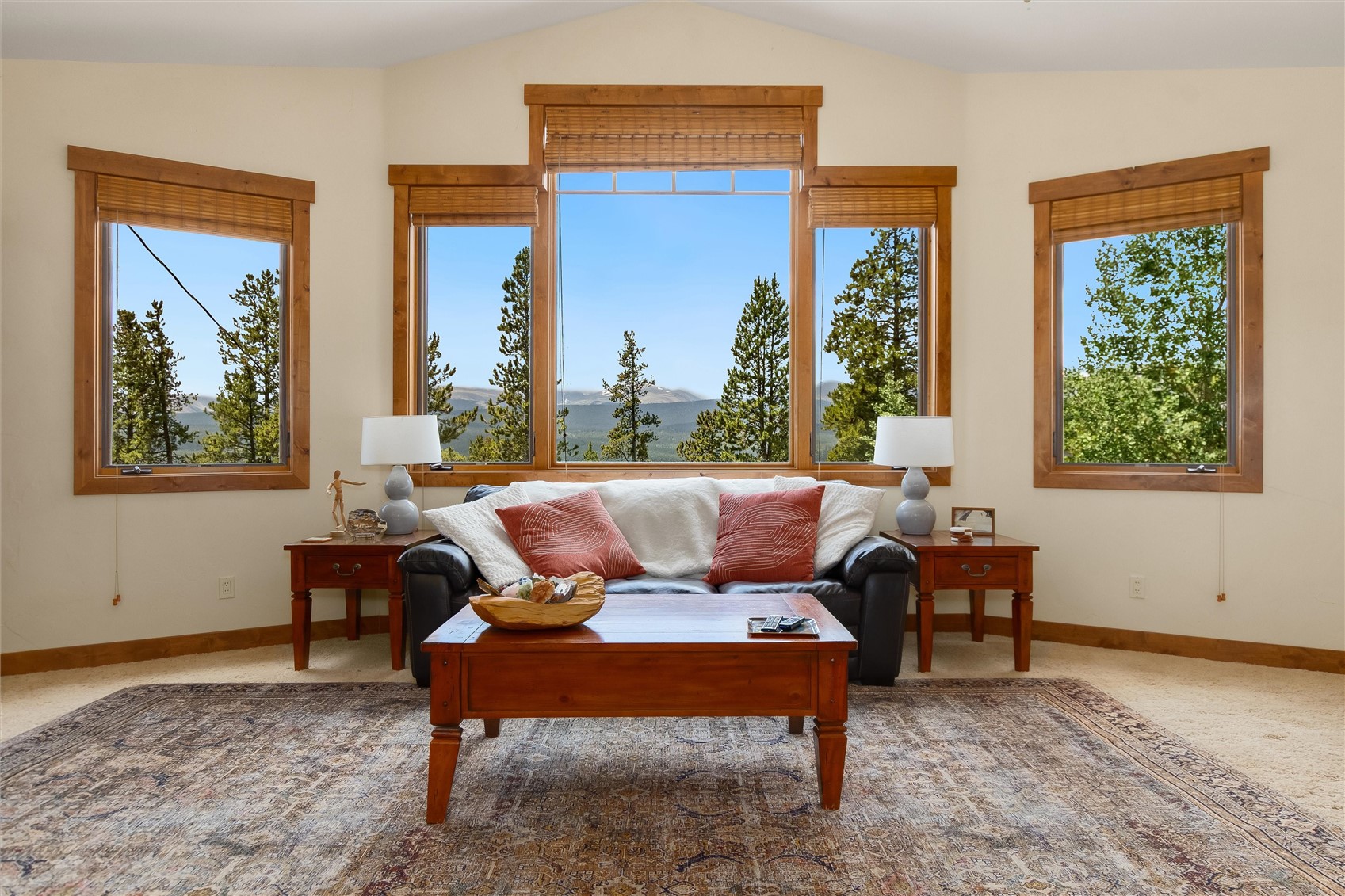592 Ponderosa Road Alma CO 80440