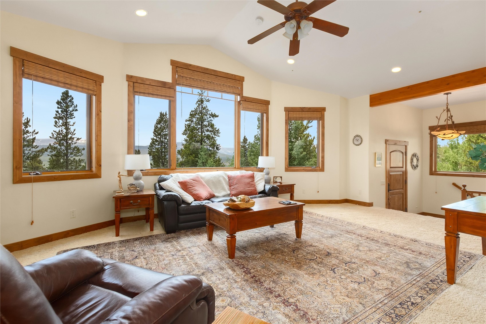 592 Ponderosa Road Alma CO 80440