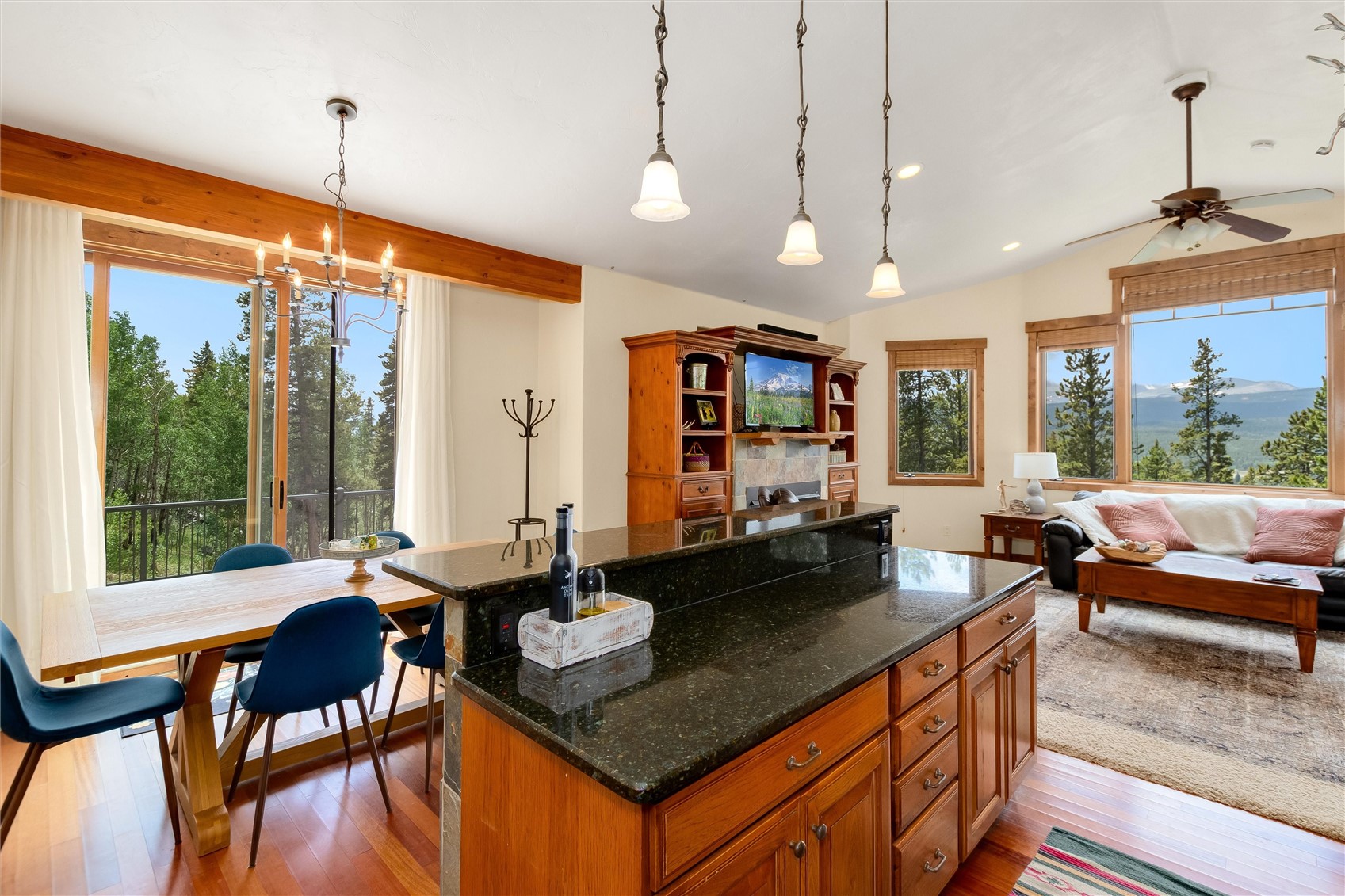 592 Ponderosa Road Alma CO 80440