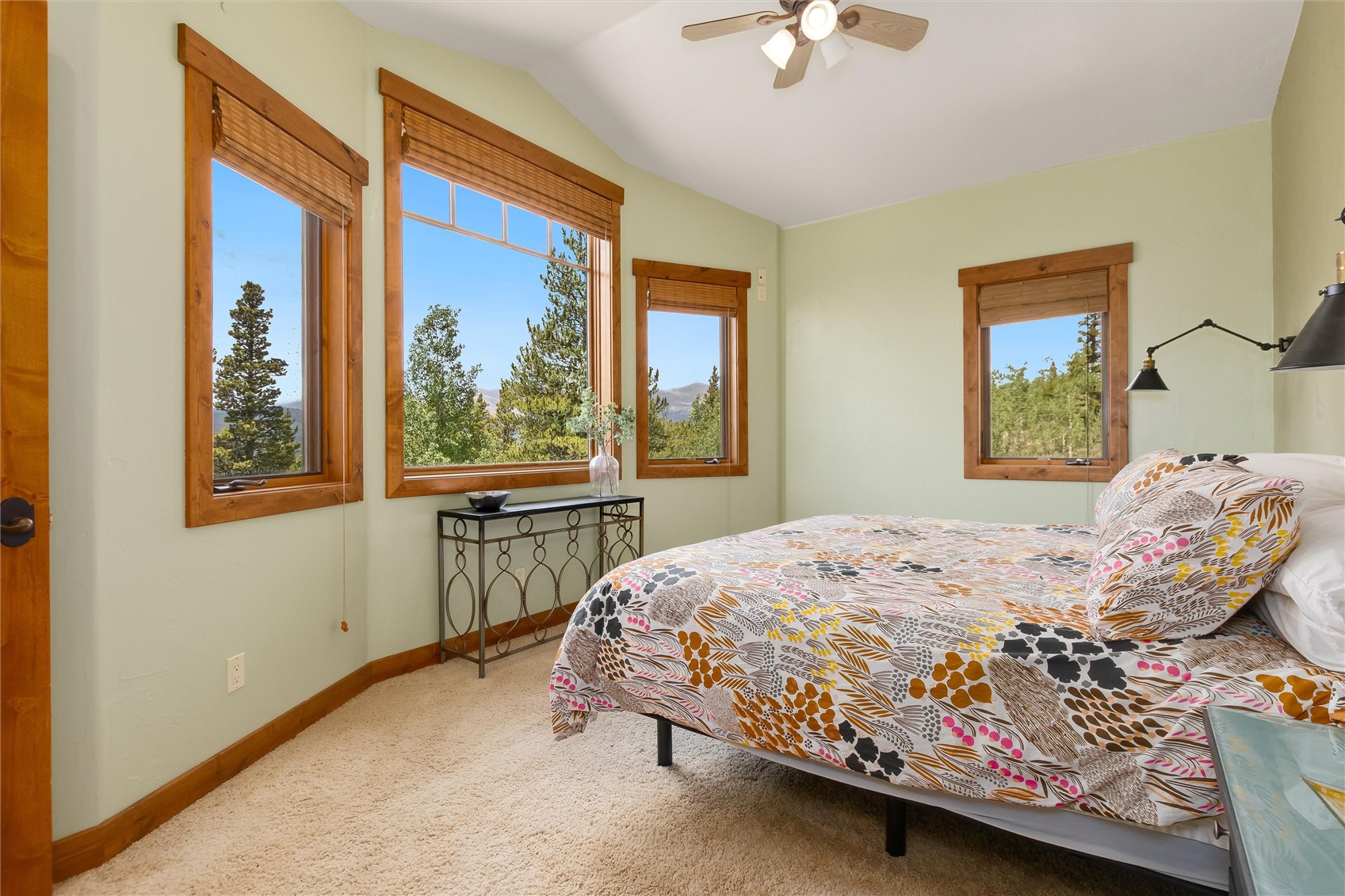592 Ponderosa Road Alma CO 80440