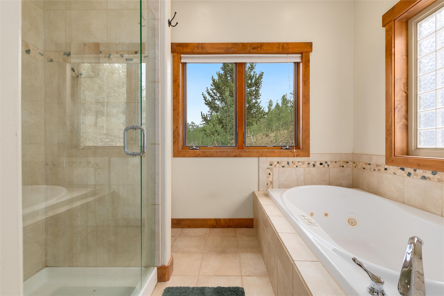 592 Ponderosa Road Alma CO 80440