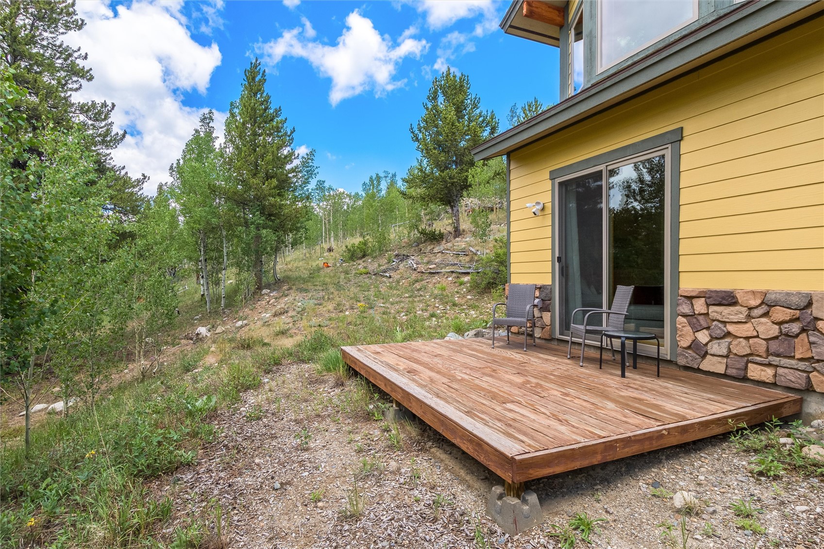 592 Ponderosa Road Alma CO 80440