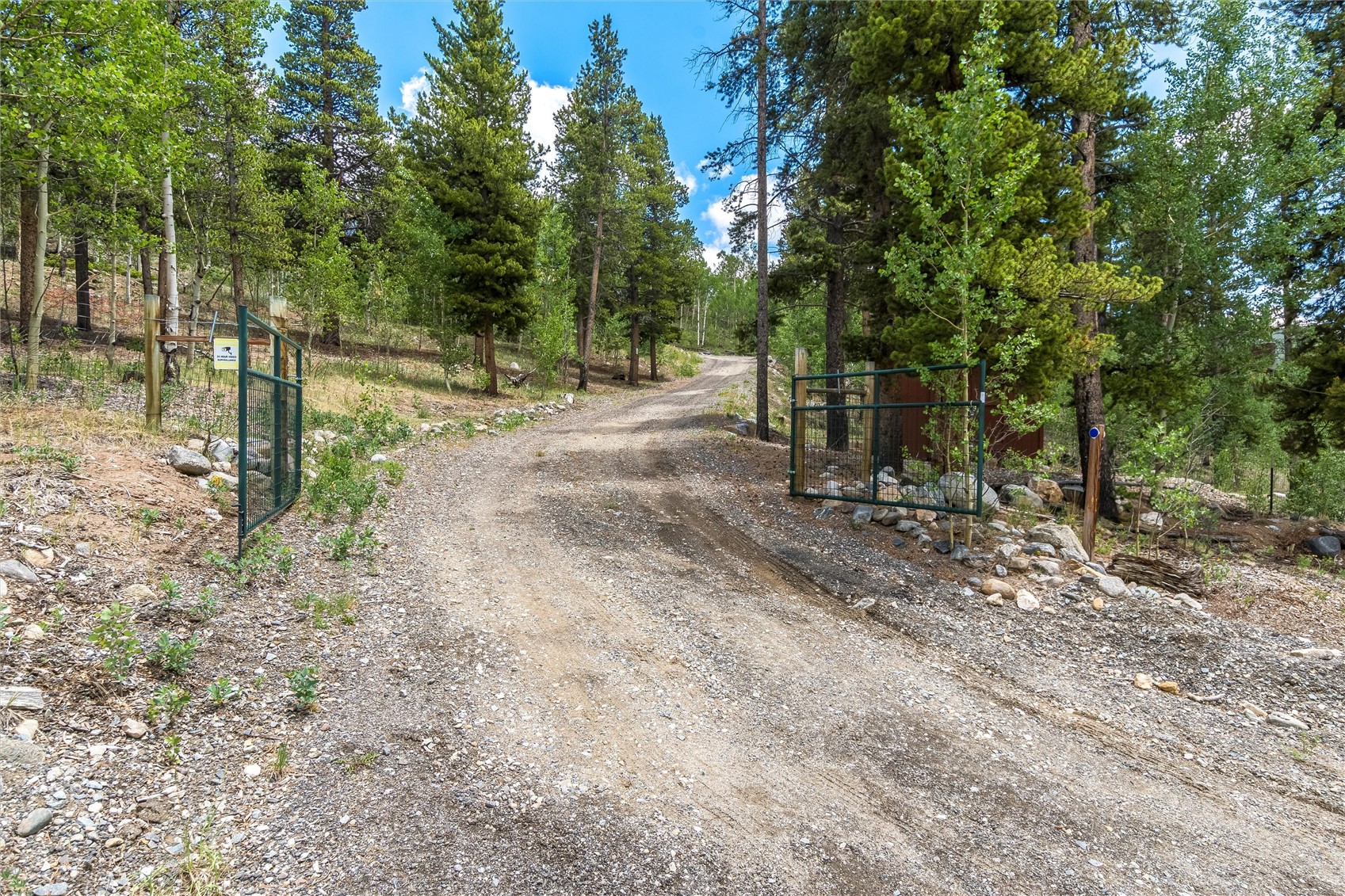 592 Ponderosa Road Alma CO 80440