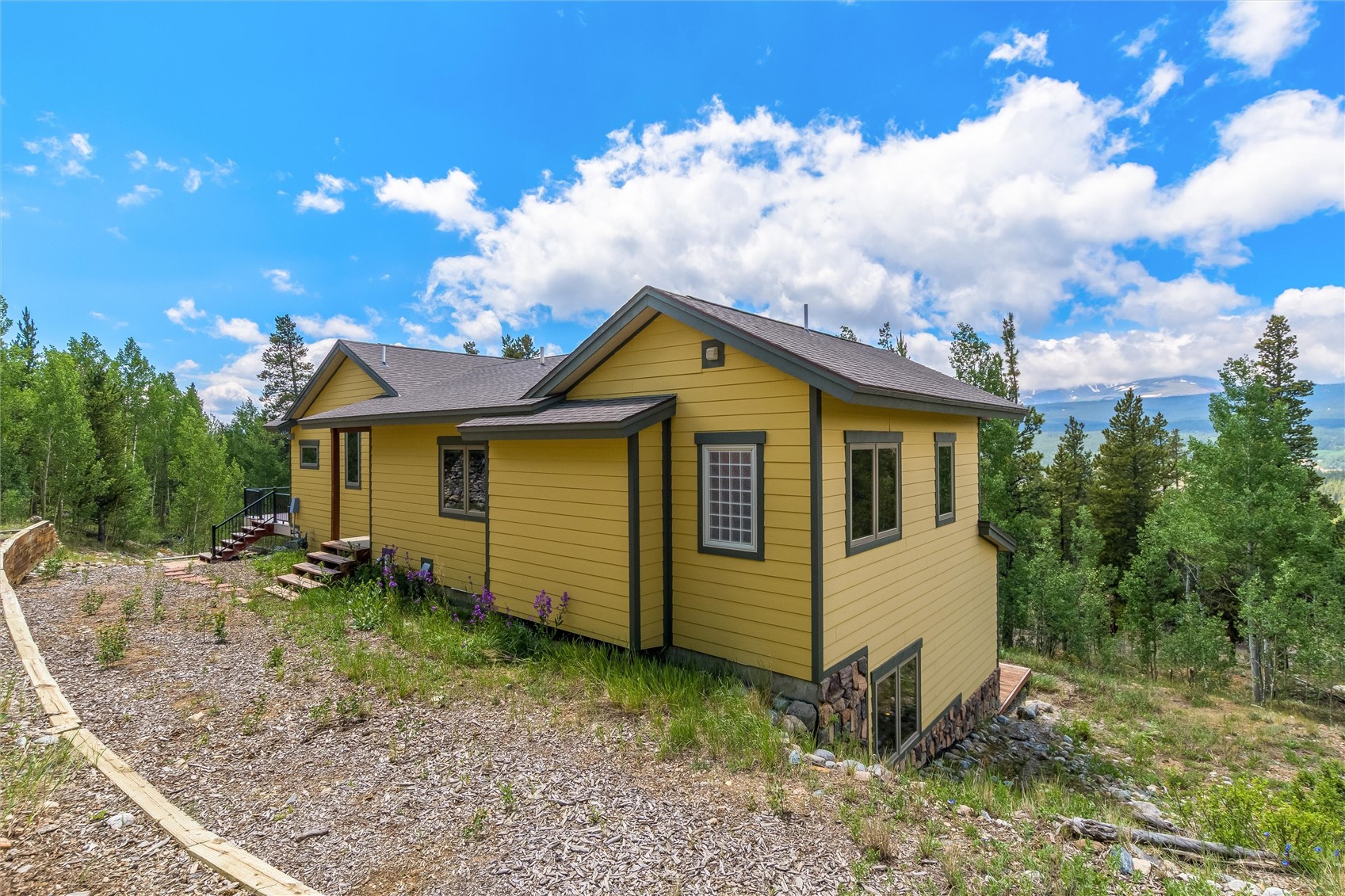 592 Ponderosa Road Alma CO 80440