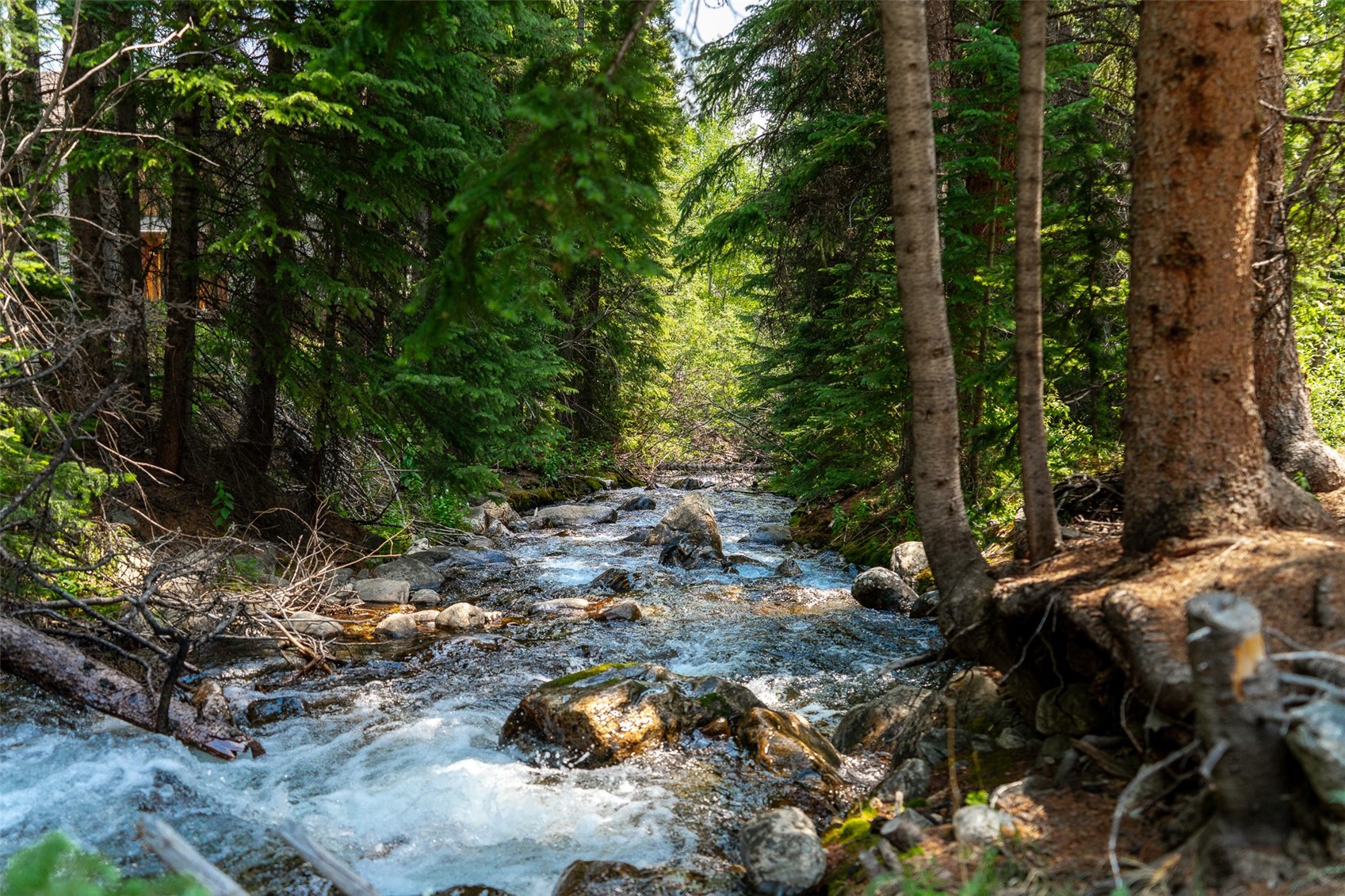 104 Leap Year Trail Breckenridge CO 80424
