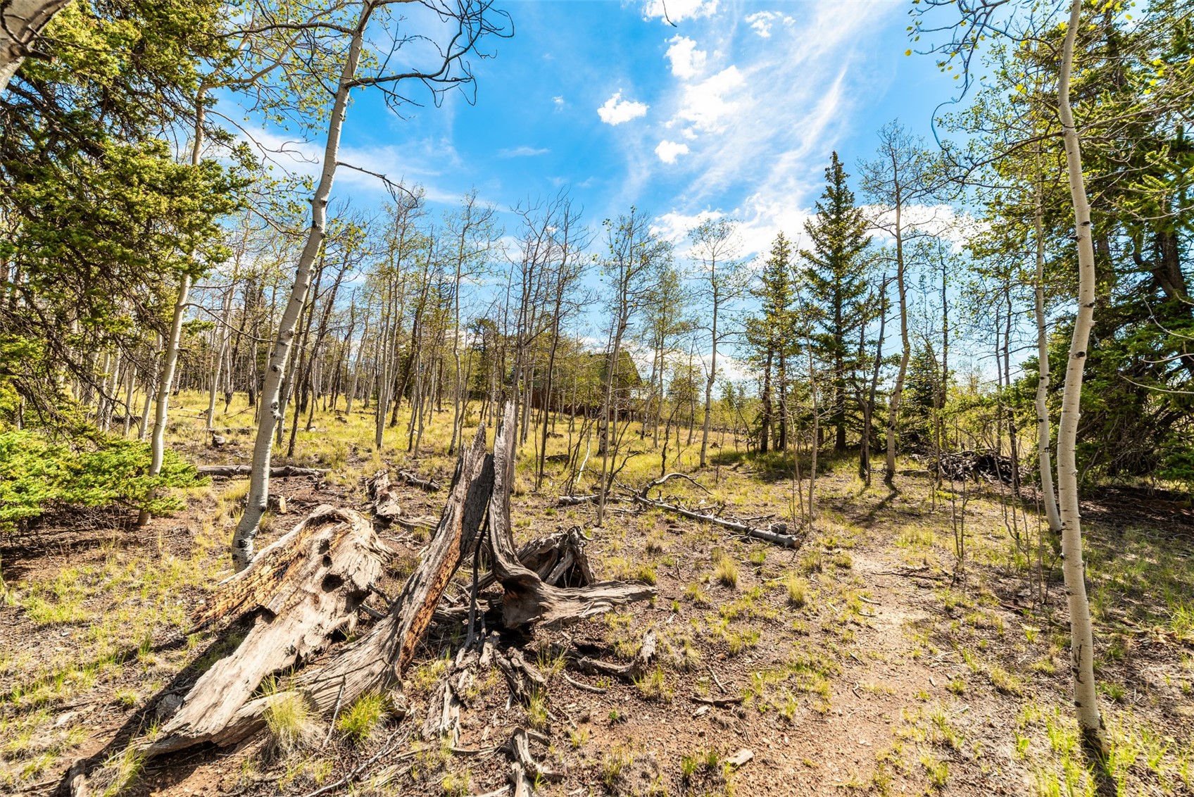 485 Longbow Drive Como CO 80456
