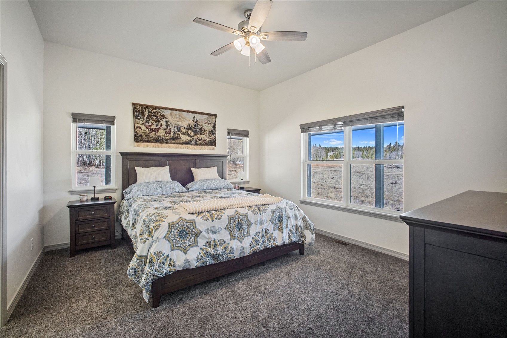 247 Foxtail Court Fairplay CO 80440