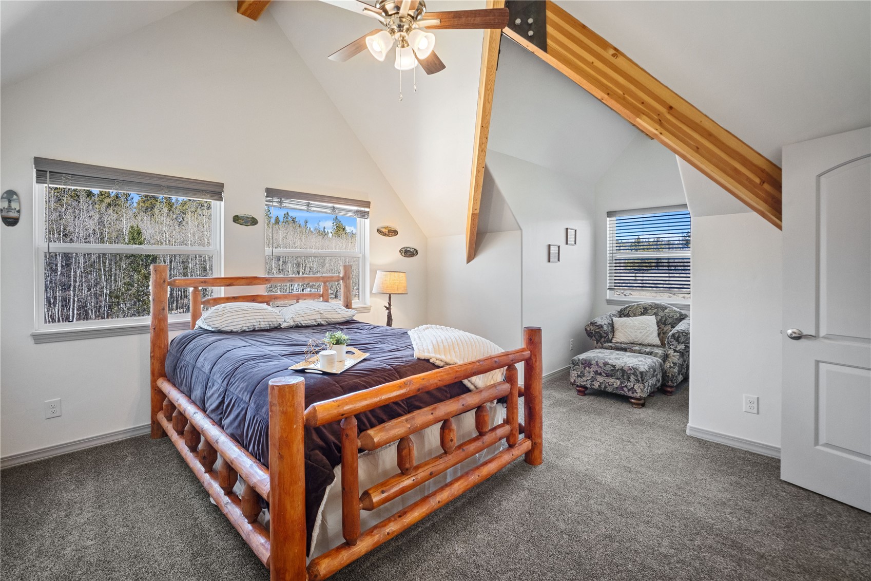 247 Foxtail Court Fairplay CO 80440