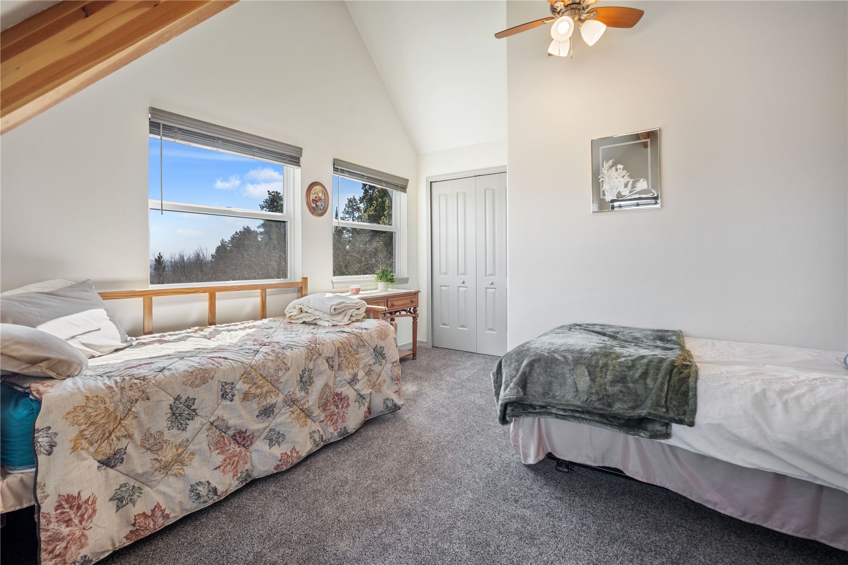 247 Foxtail Court Fairplay CO 80440