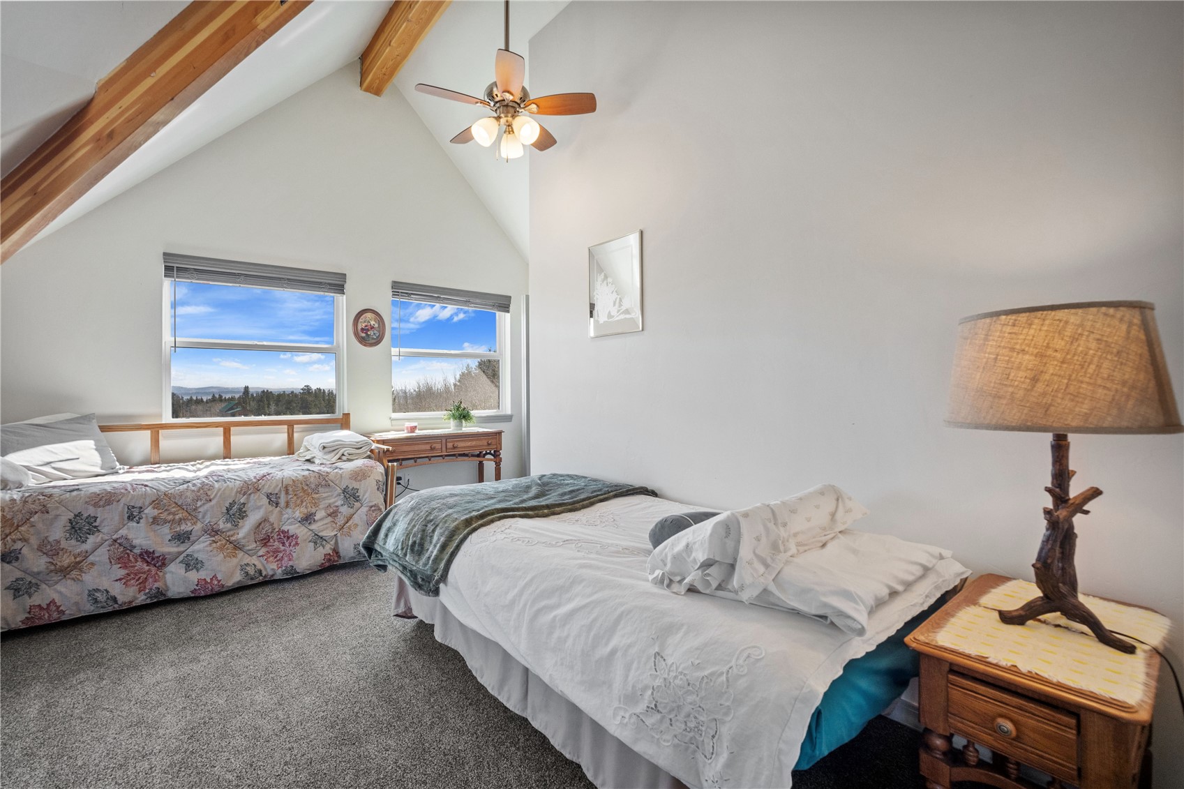 247 Foxtail Court Fairplay CO 80440