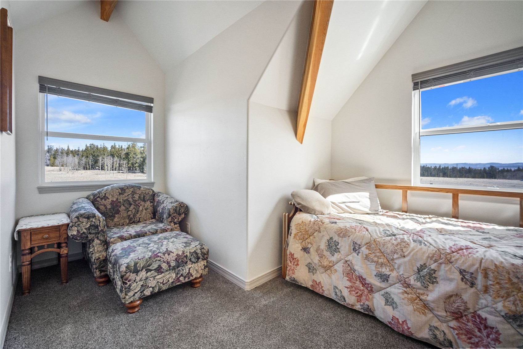 247 Foxtail Court Fairplay CO 80440