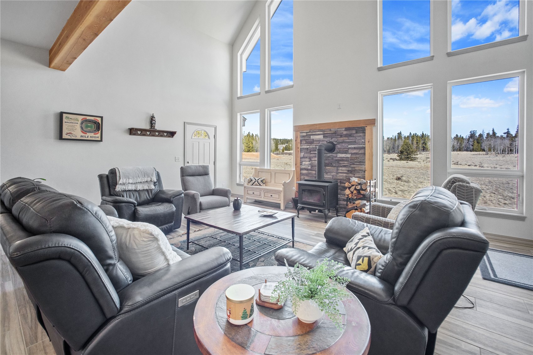 247 Foxtail Court Fairplay CO 80440