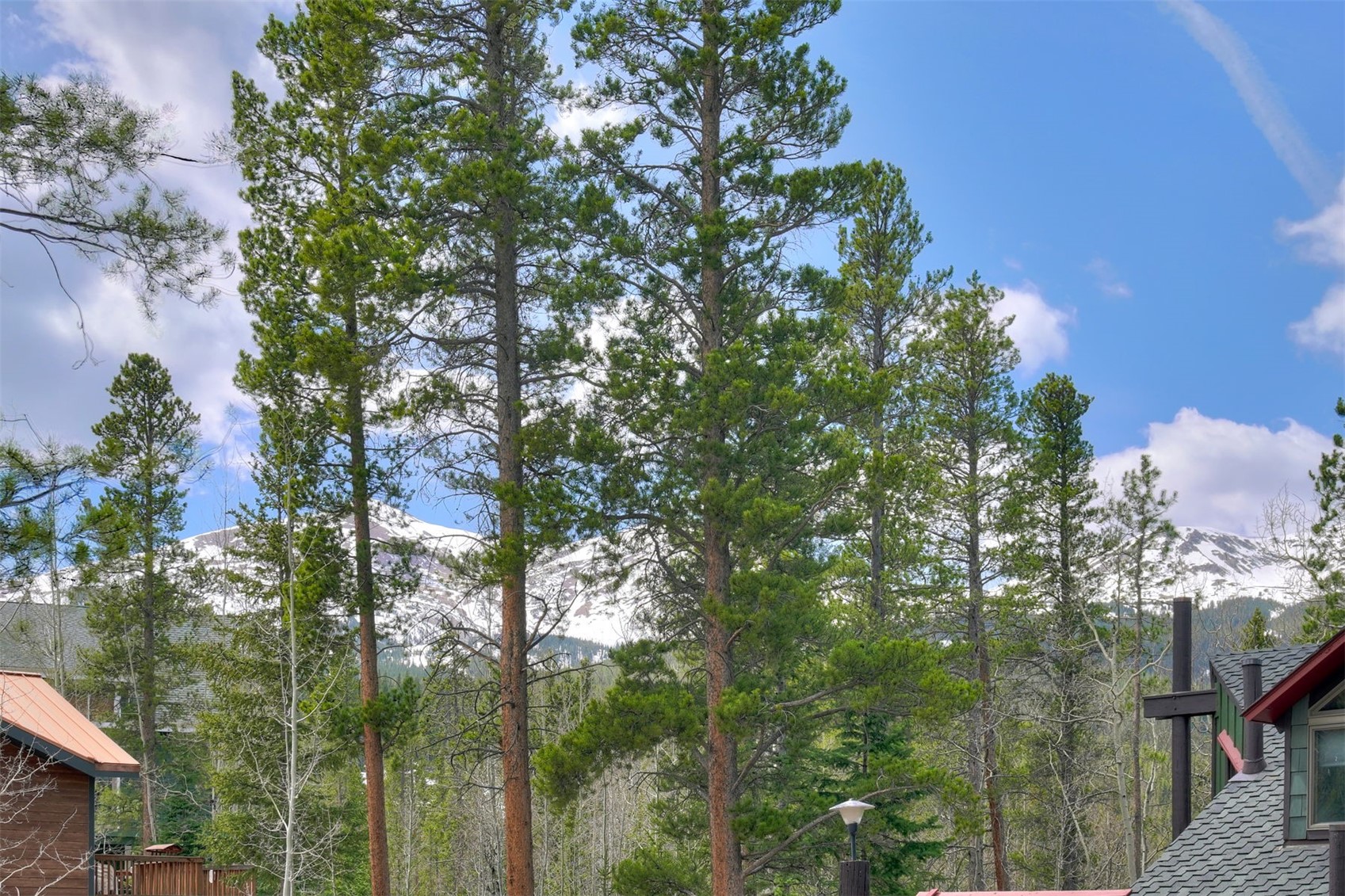 173 Lone Hand Way Breckenridge CO 80424