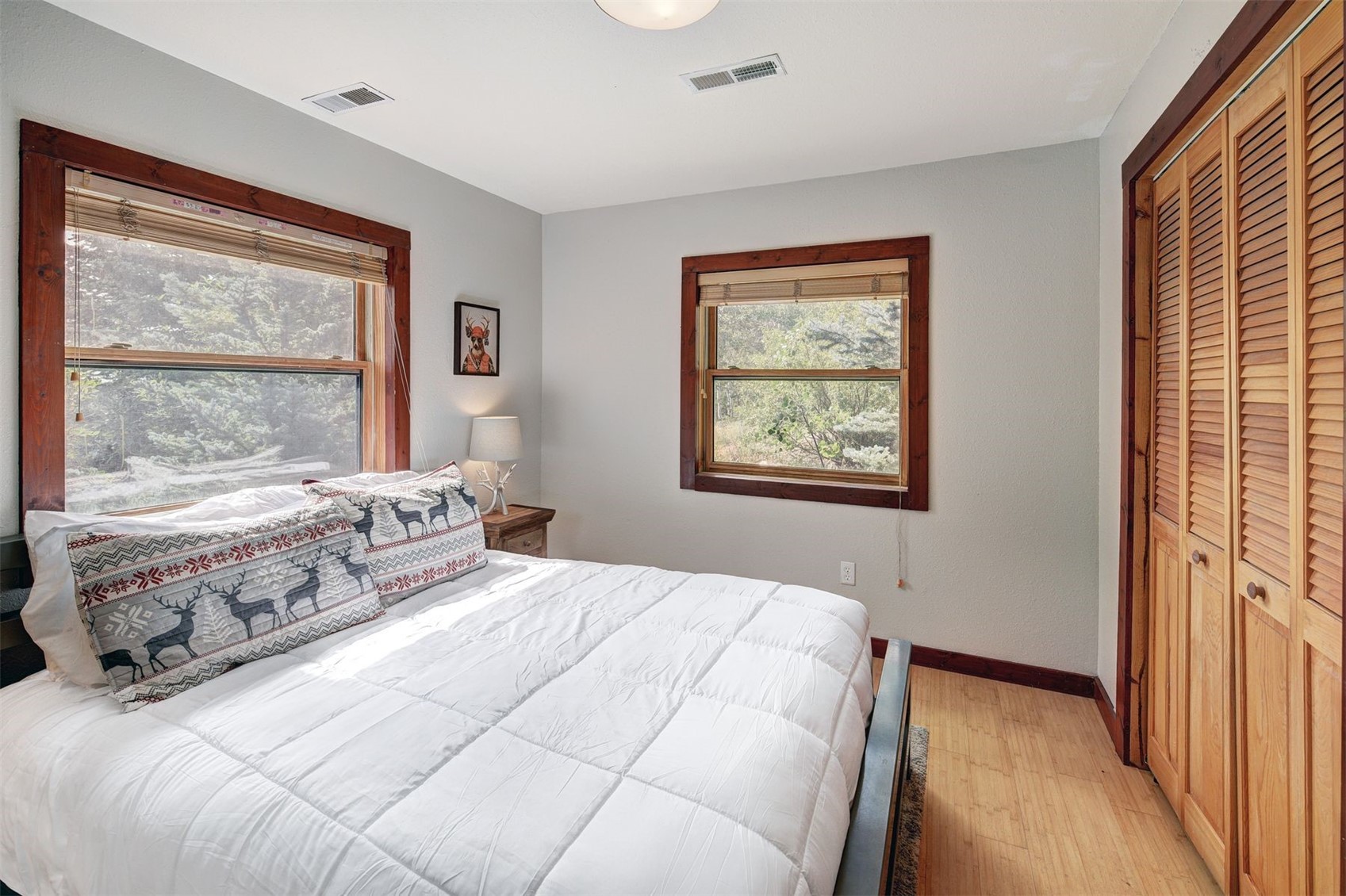 651 Lamb Mountain Road Fairplay CO 80440