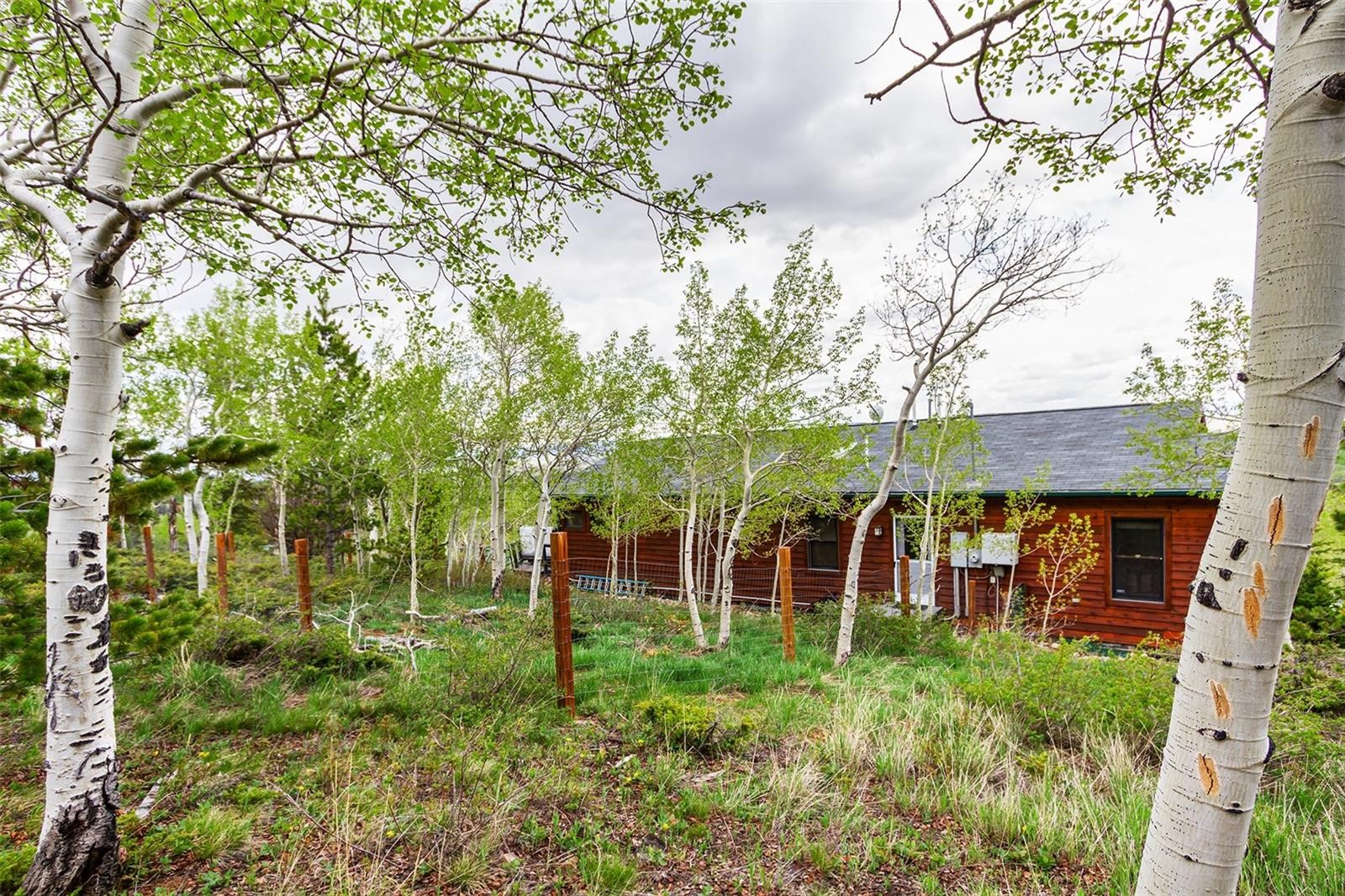 651 Lamb Mountain Road Fairplay CO 80440