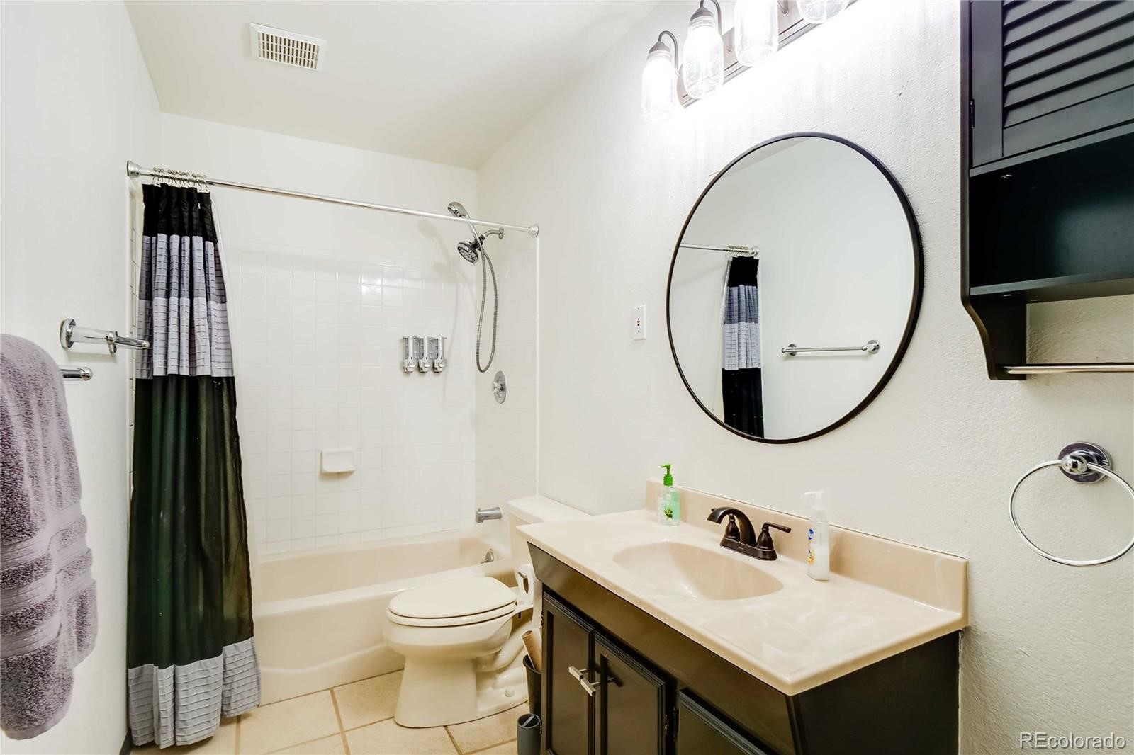 496 Quartzville Road Alma CO 80420