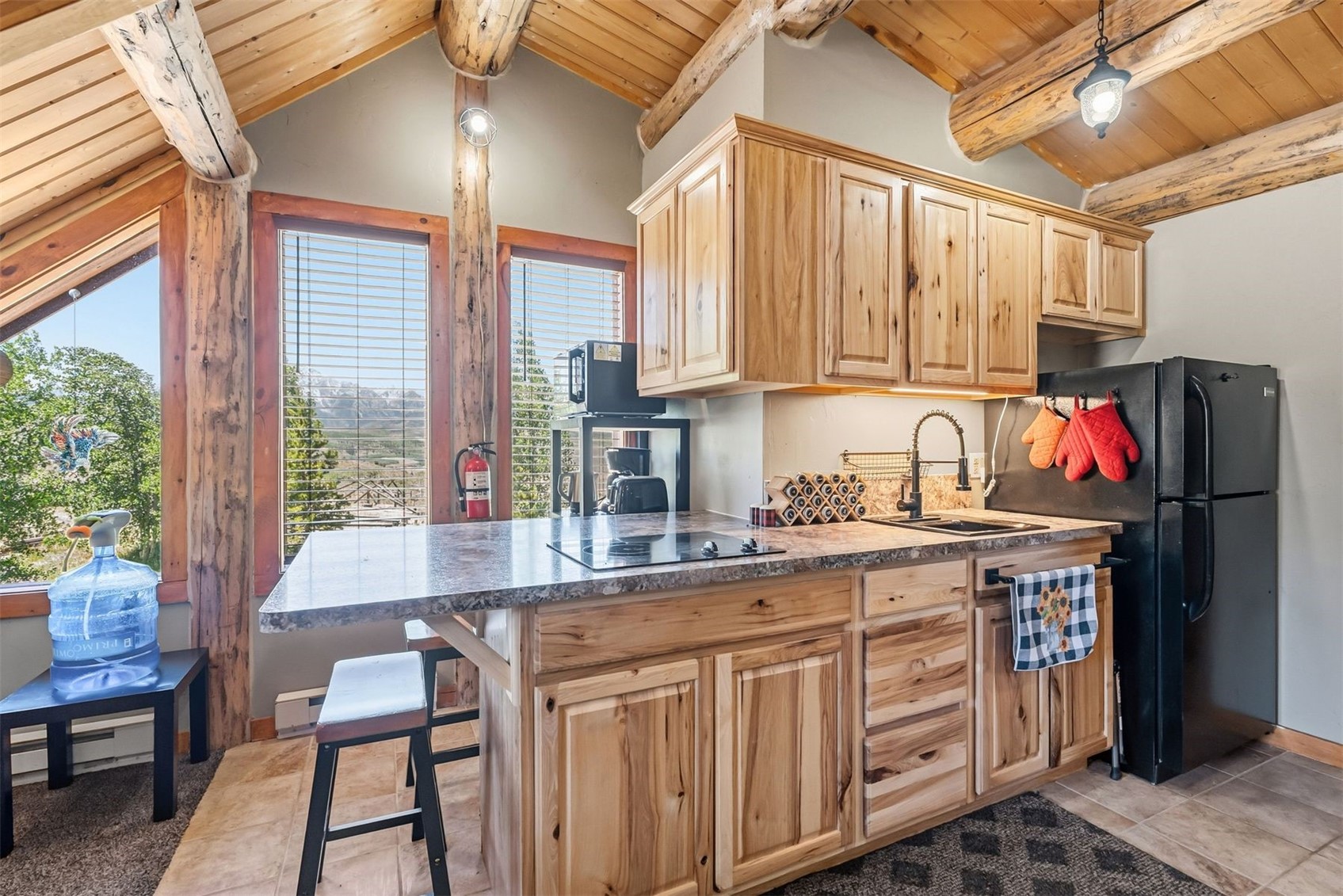 385 Darby Drive Silverthorne CO 80498