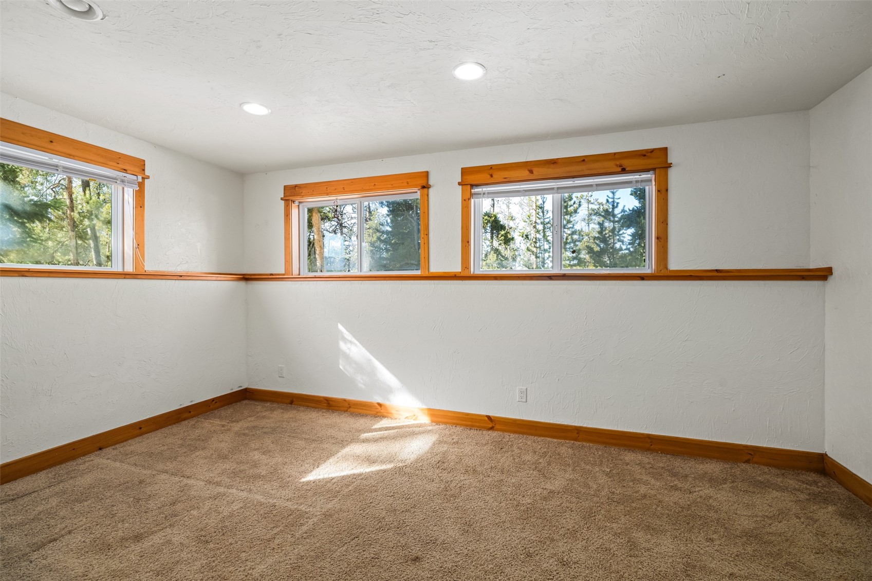 33533 Seneca Trail Oak Creek CO 80467