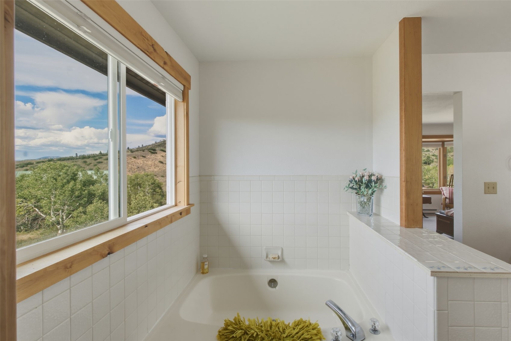 31230 Broken Talon Trail Oak Creek CO 80467