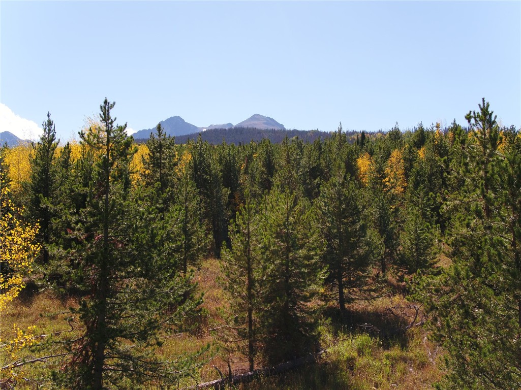 Tbd Whetstone Drive Silverthorne CO 80498