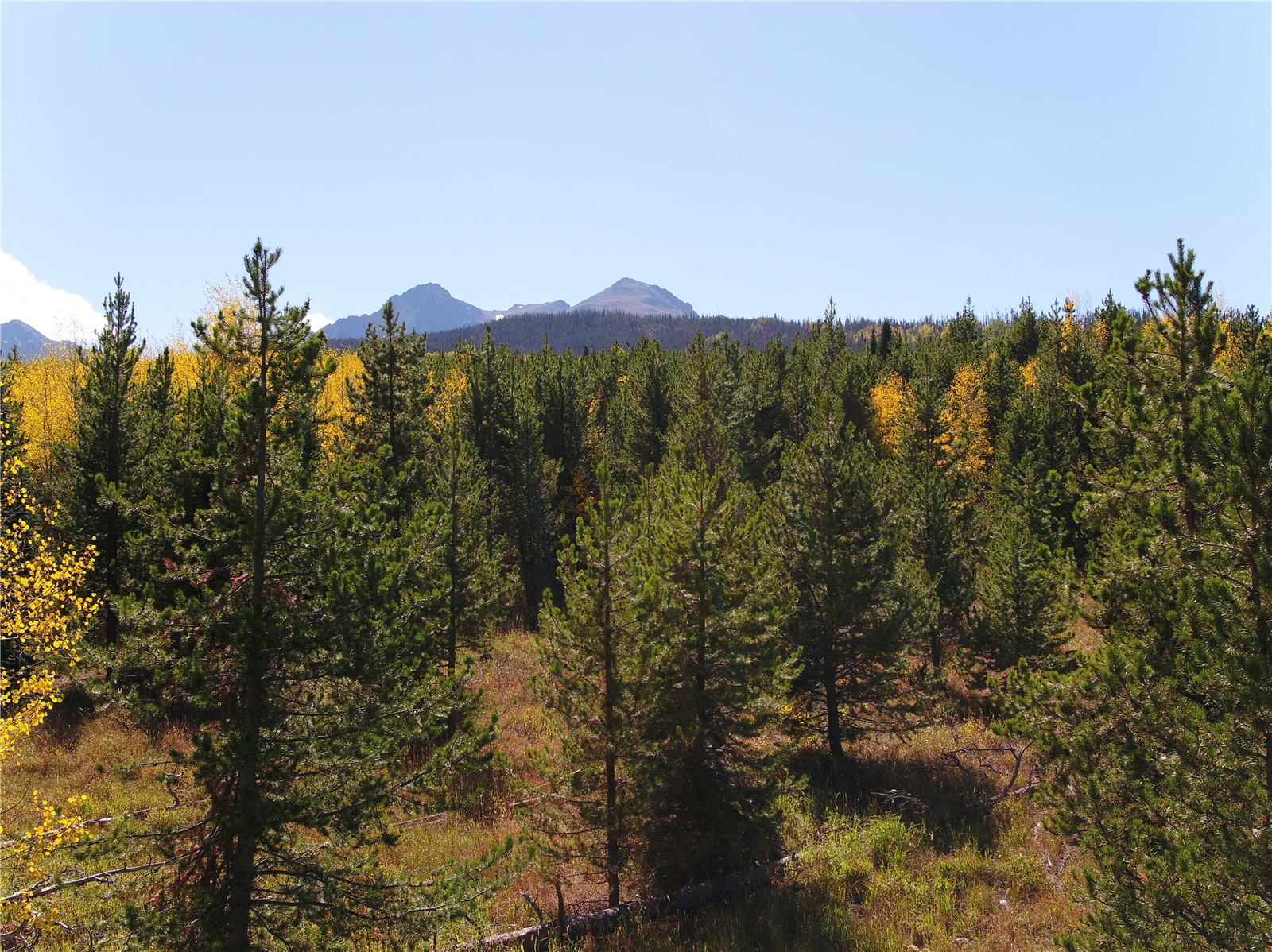 Tbd Whetstone Drive Silverthorne CO 80498