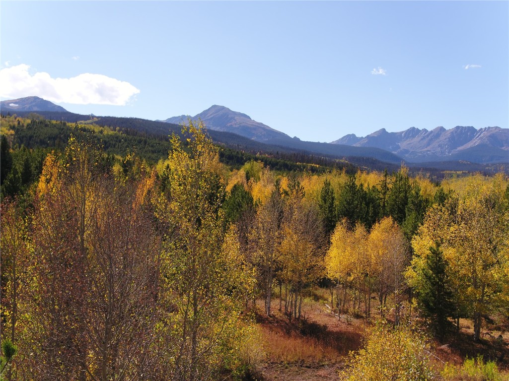 Tbd Whetstone Drive Silverthorne CO 80498