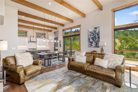 TBD Whetstone Drive Silverthorne CO 80498