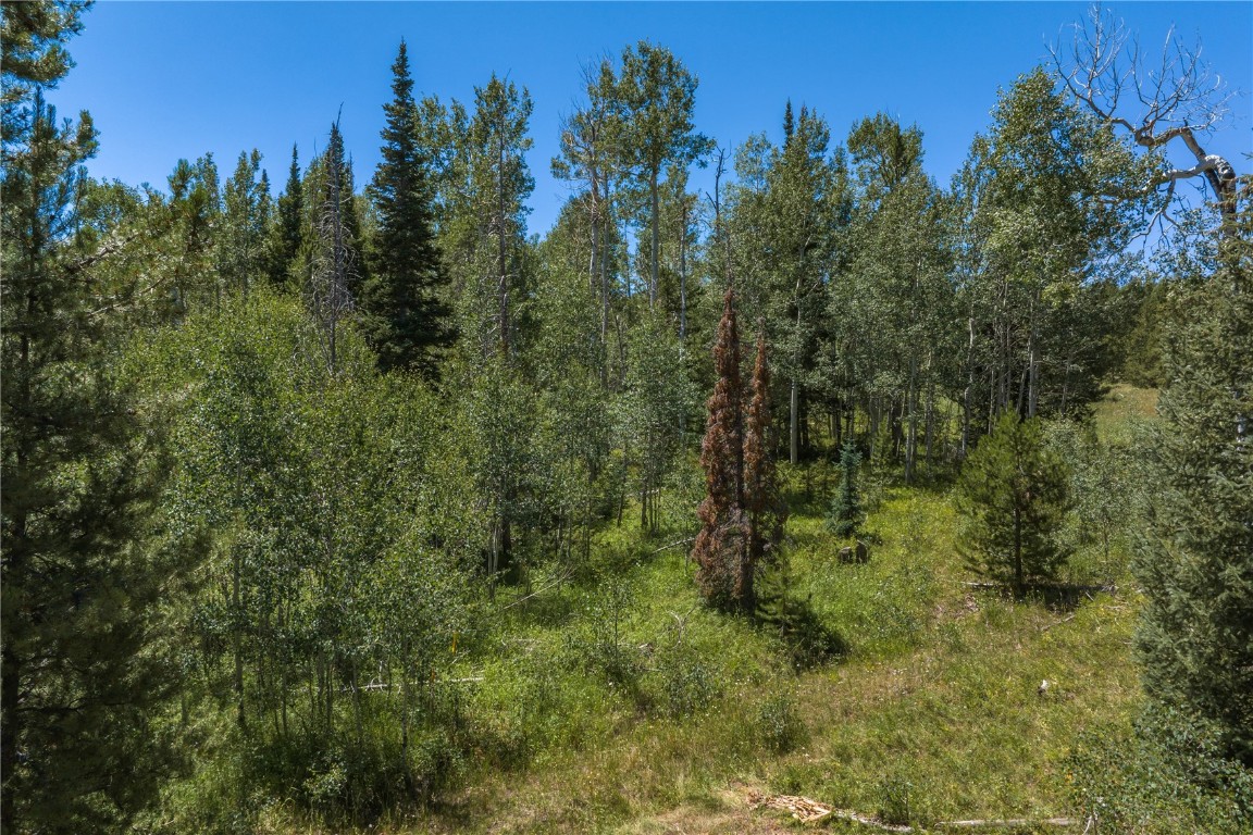 Tbd Whetstone Drive Silverthorne CO 80498