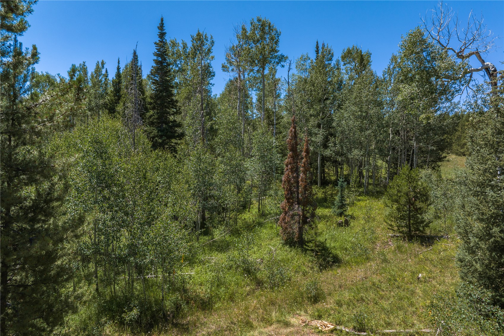 Tbd Whetstone Drive Silverthorne CO 80498