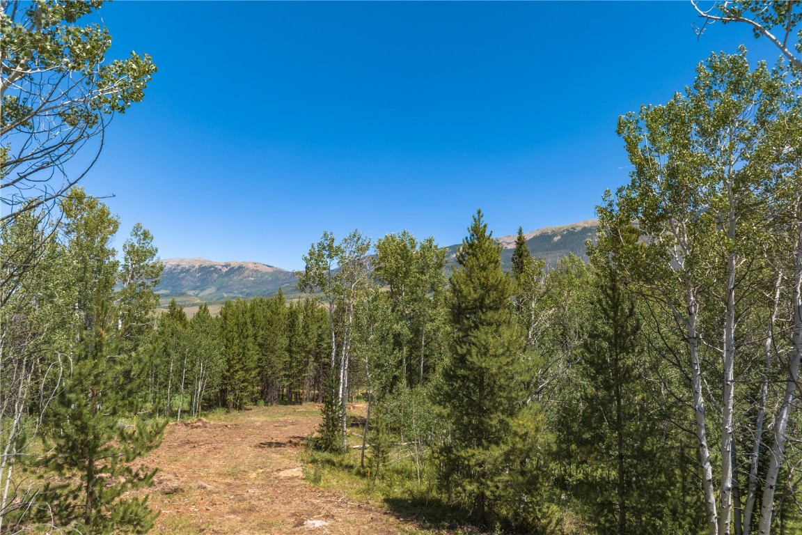 Tbd Whetstone Drive Silverthorne CO 80498