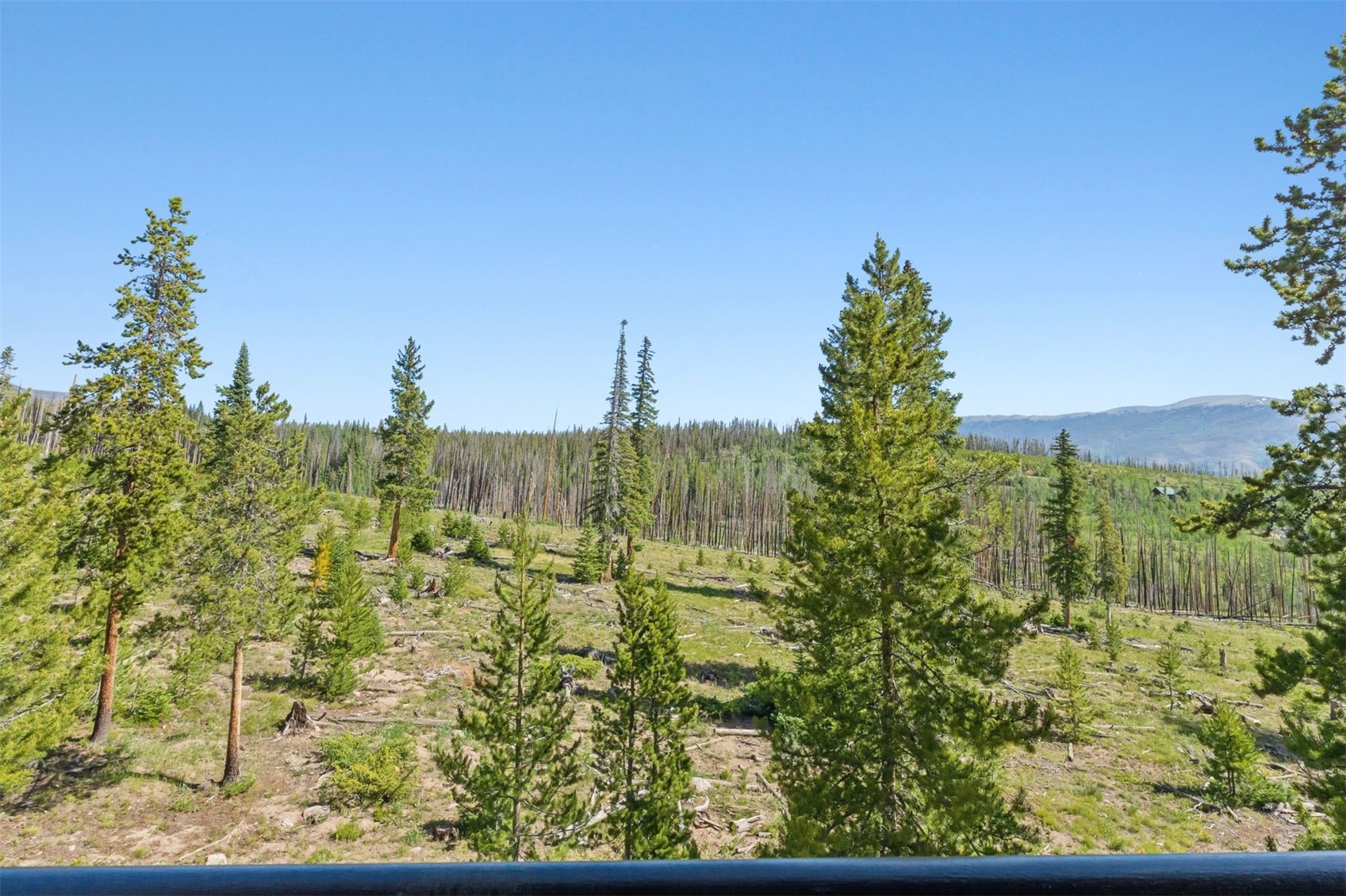 91200 Ryan Gulch Road Silverthorne CO 80498