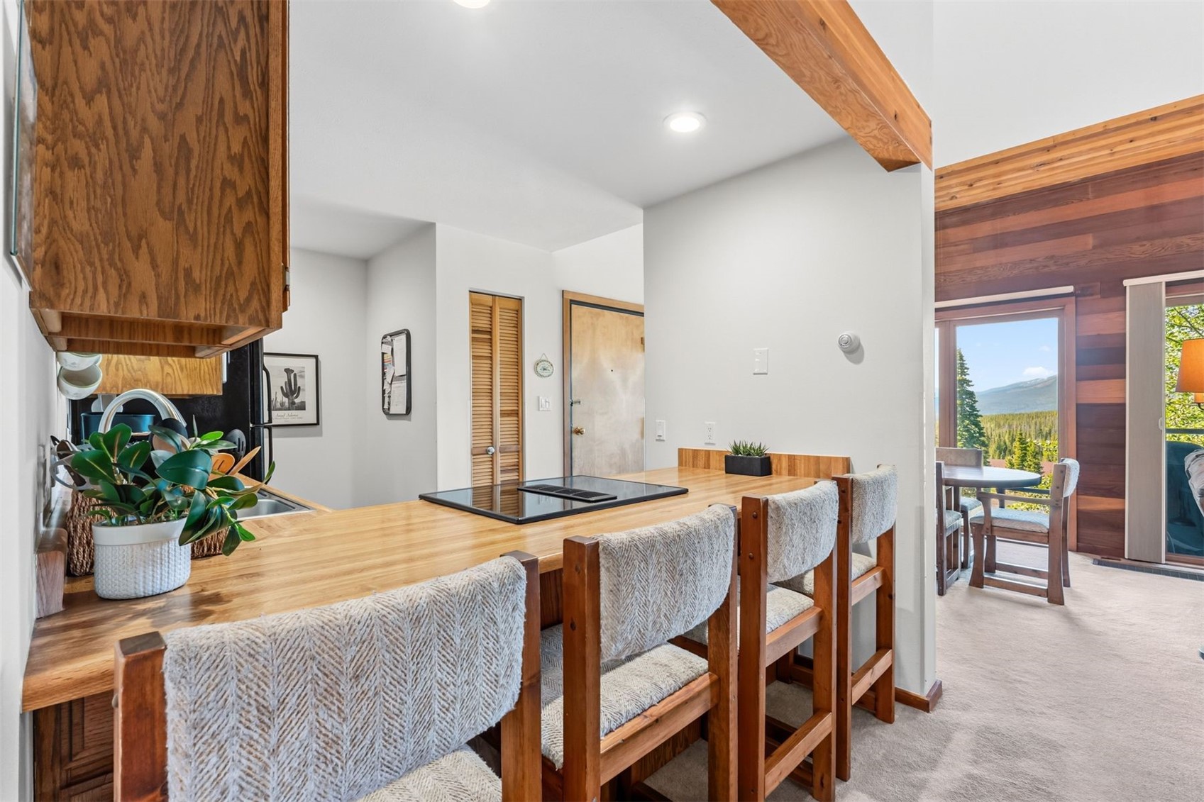 91200 Ryan Gulch Road Silverthorne CO 80498