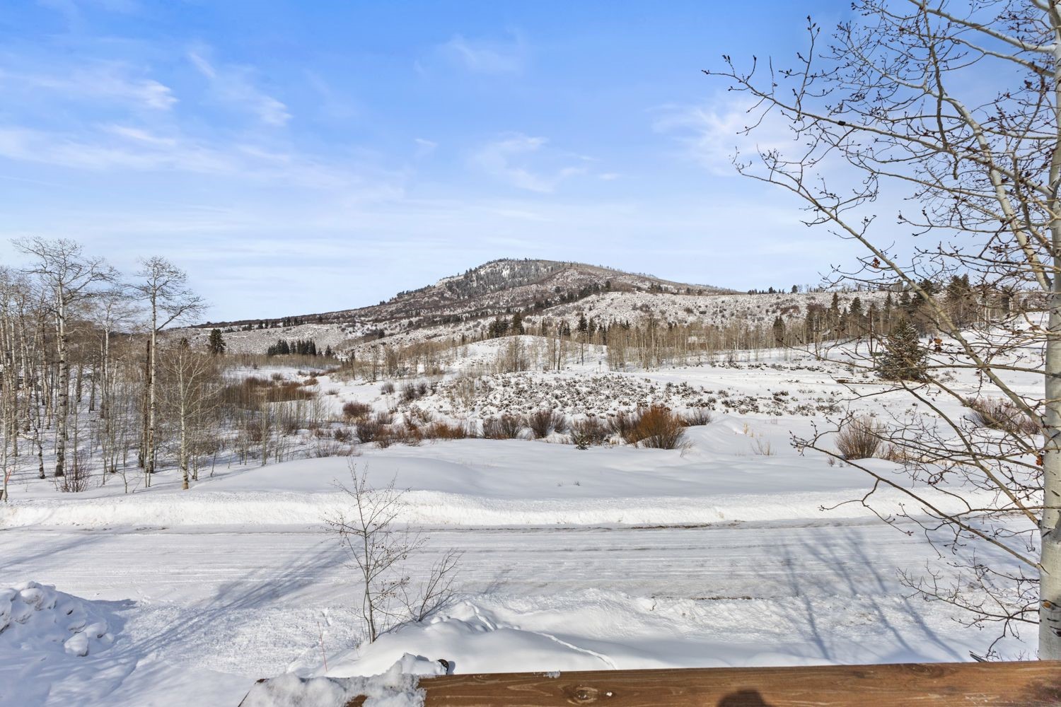 32596 Ute Trail Oak Creek CO 80467