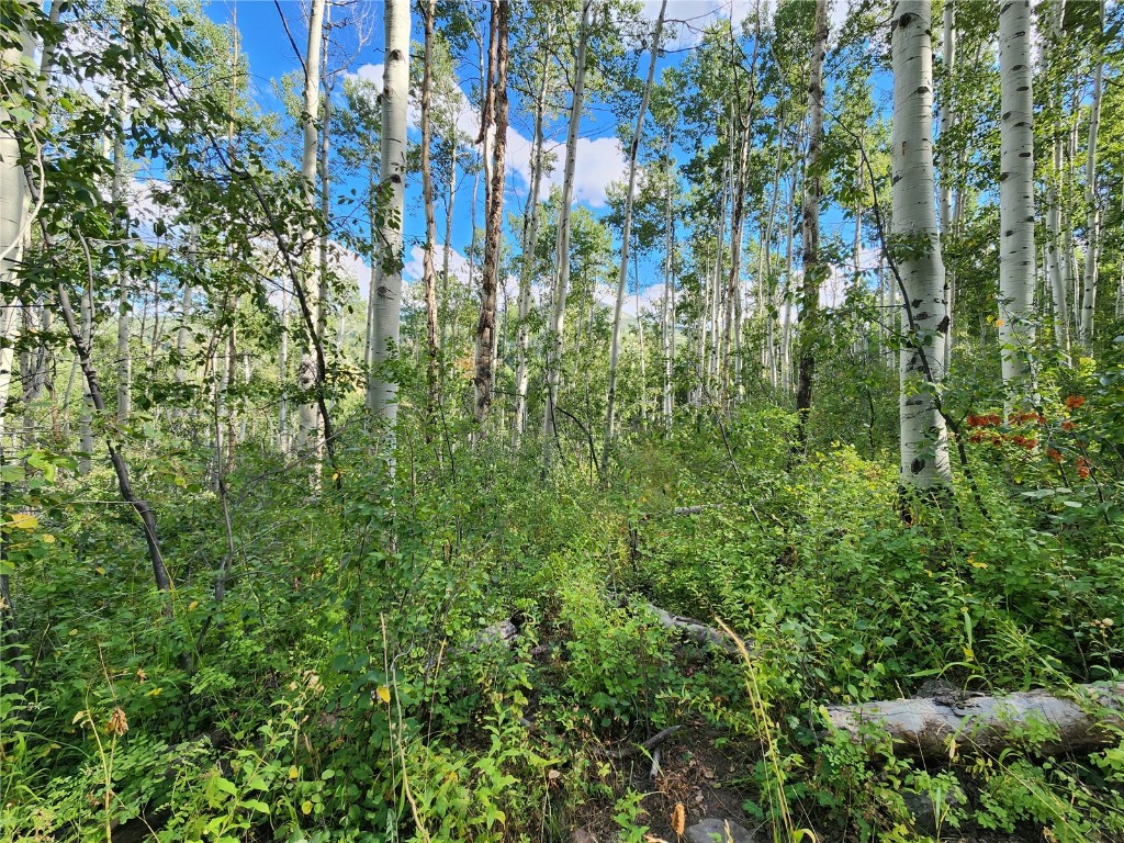 52002 County Road 8 Meeker CO 81641