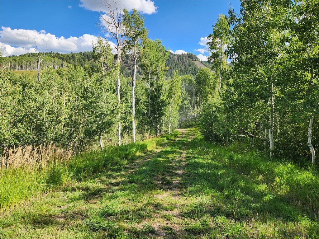 52002 County Road 8 Meeker CO 81641