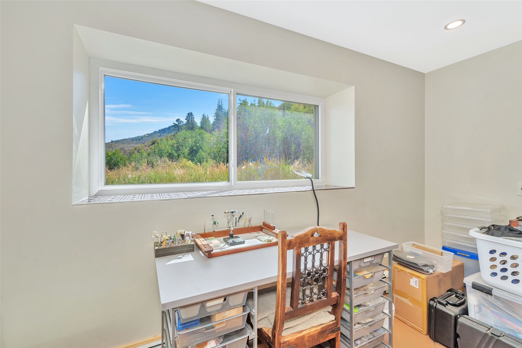 23615 Stagehorn Trail Oak Creek CO 80467