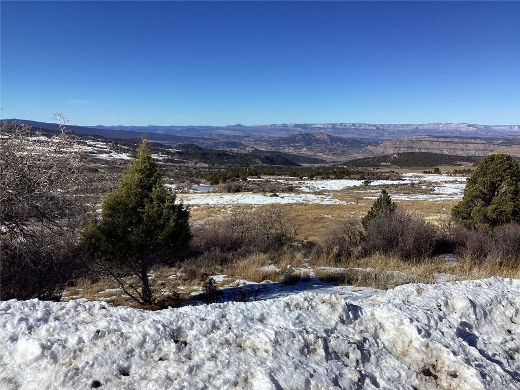 9073 54 7/10 Other CO 81646